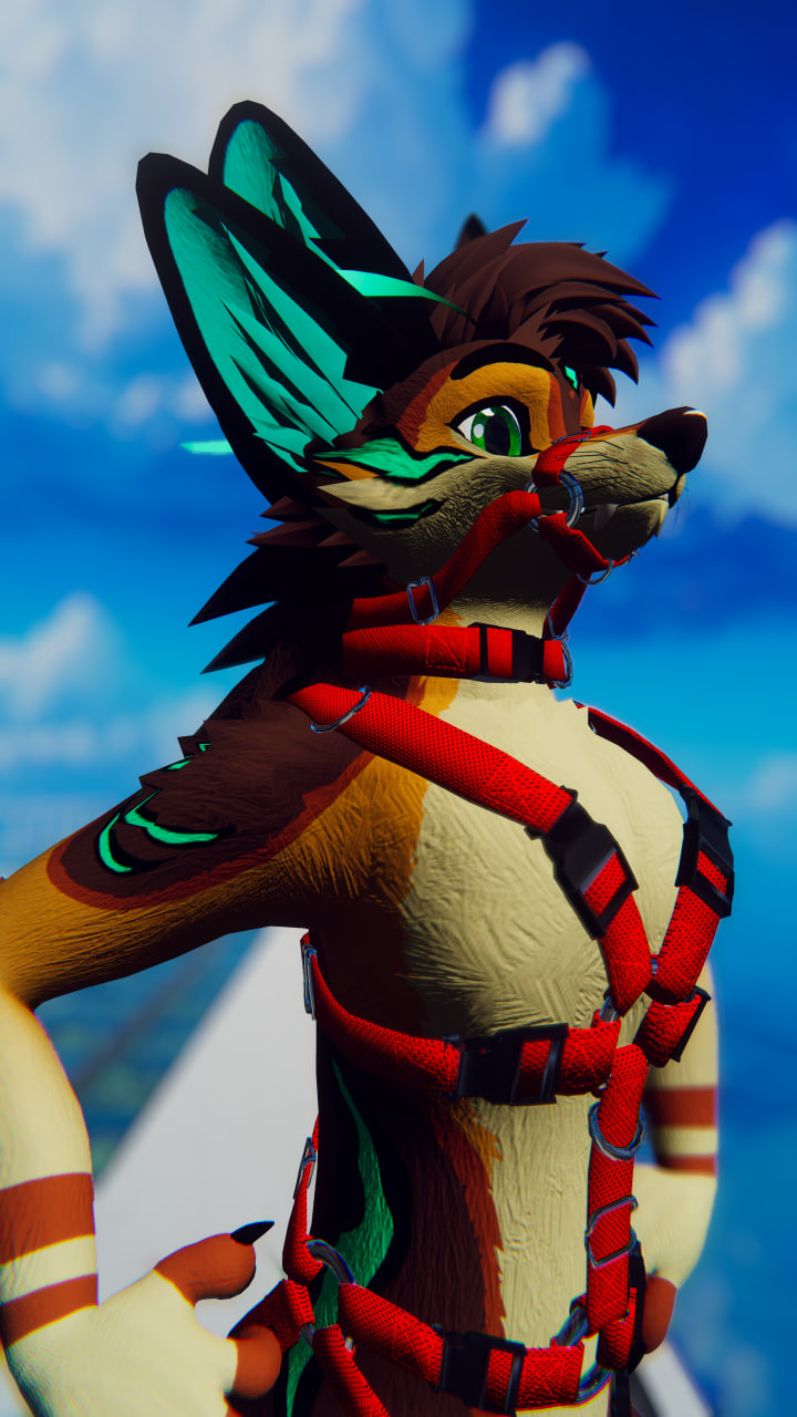 Fennix Harness Gear