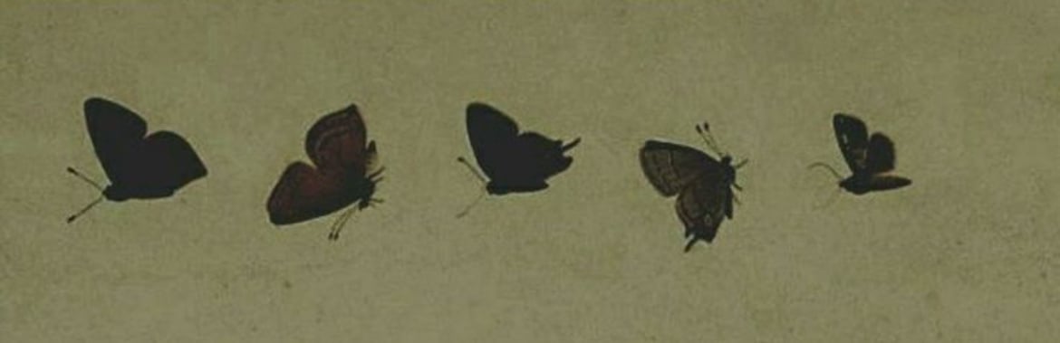 Banner Background