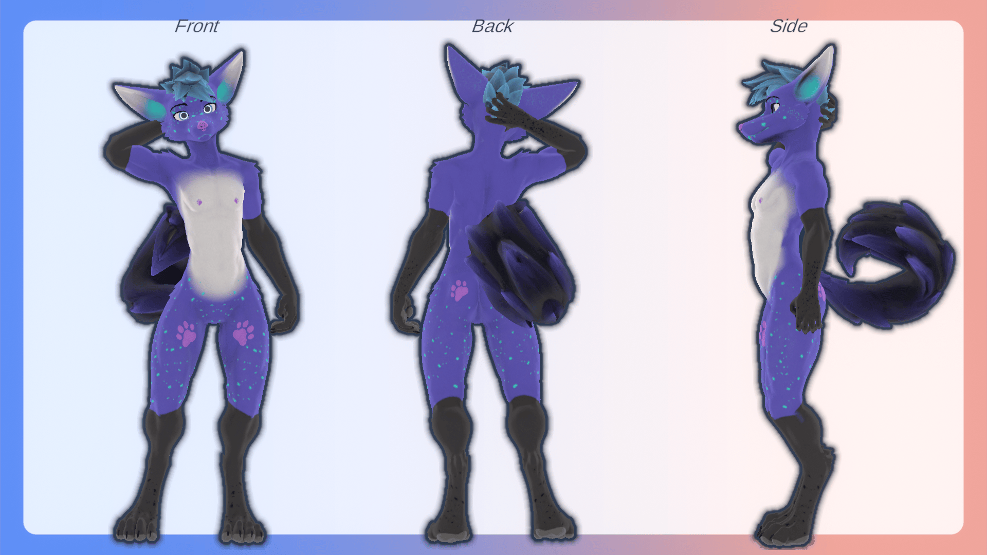 Viwi - Space Fox