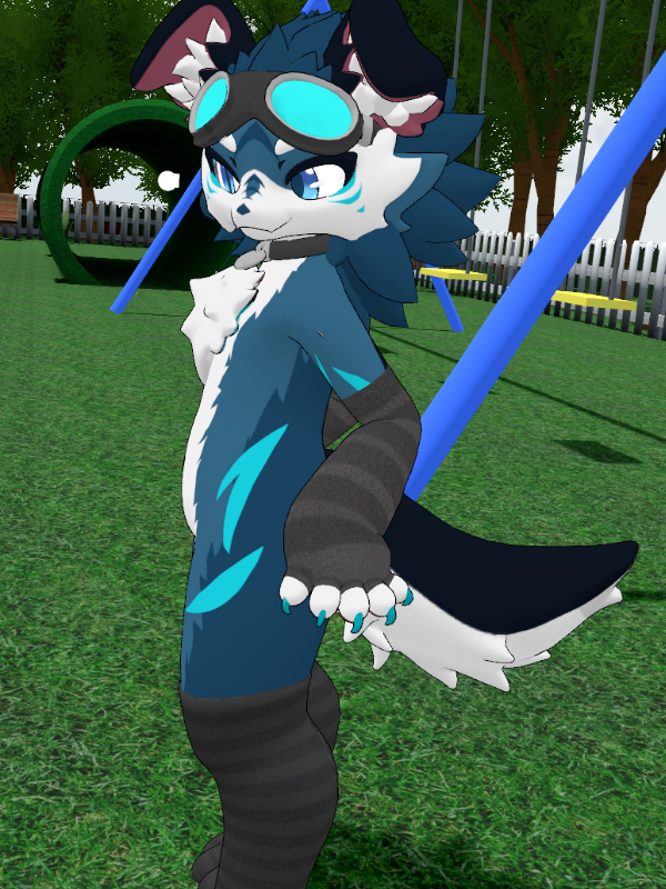 Chibi Nova Pup