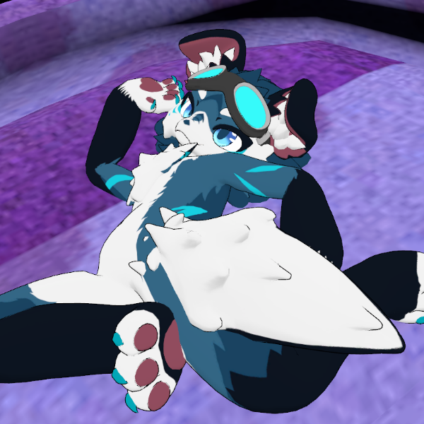 Chibi Nova Pup