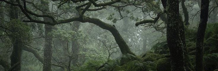 Banner Background