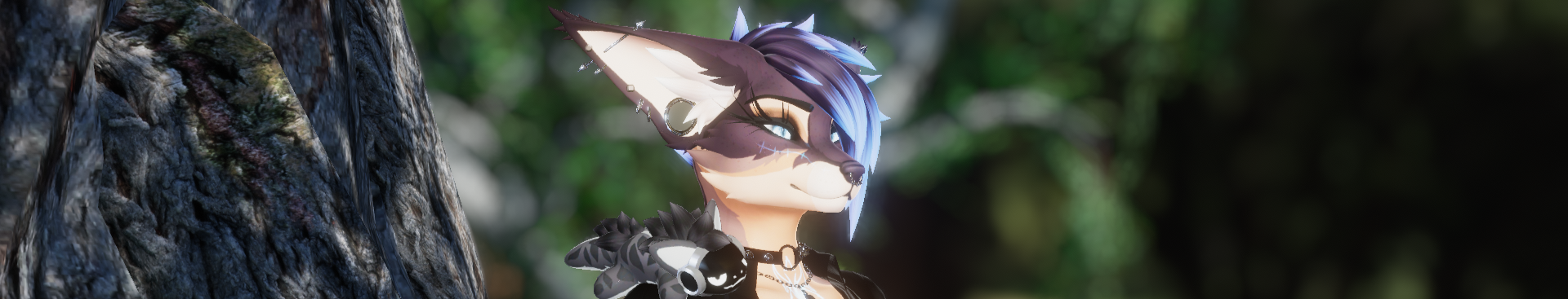 Banner Background