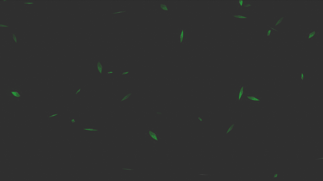 【VRChat/MA support/Quest】Environ effects