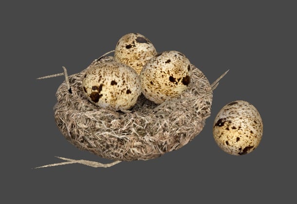 Bird Call — Egg & Nest Set (Animated + Sound)