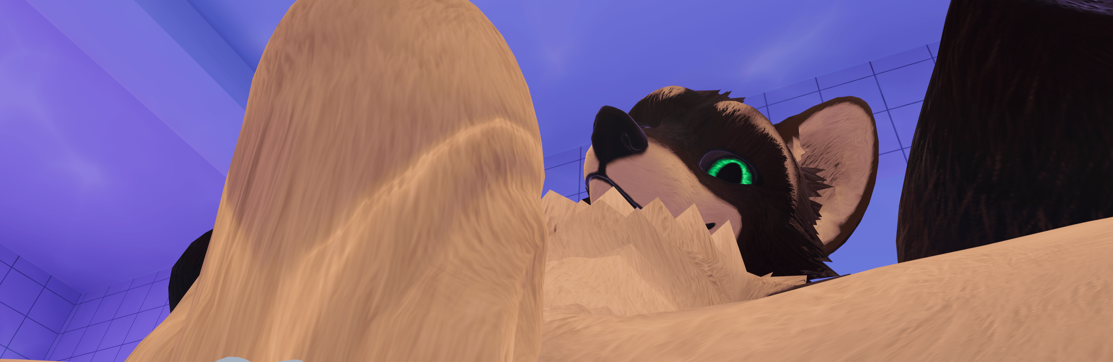 Banner Background