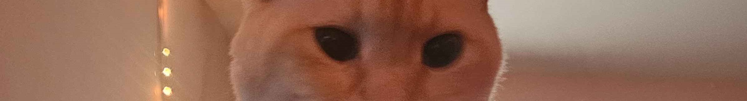 Banner Background