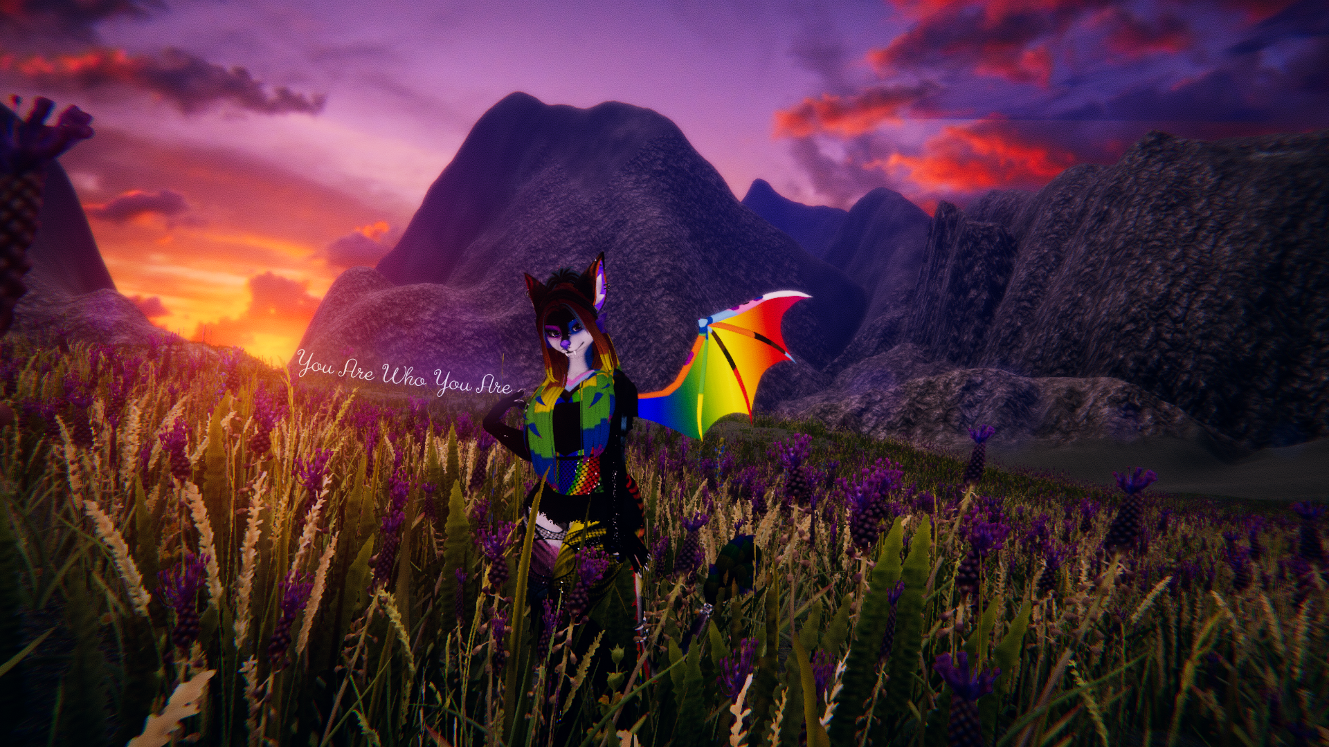 Banner Background