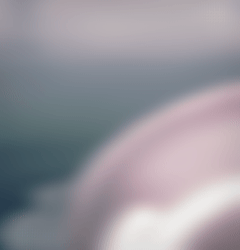 { Faye } - PC & QUEST, GOGO, FT, FAKE INDEX ( NITRO FREEBIE)