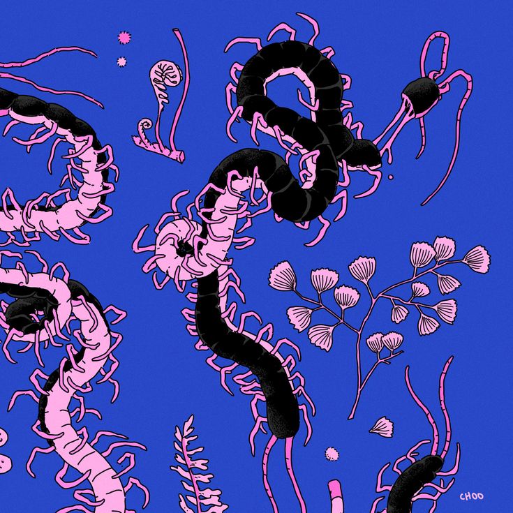 Banner Background
