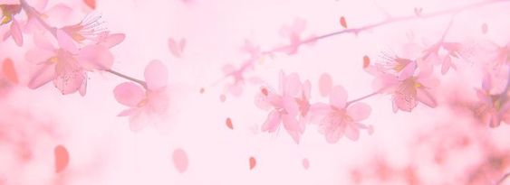 Banner Background