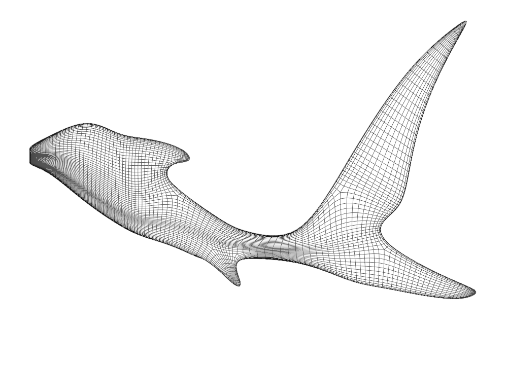 SharkTail (Free)