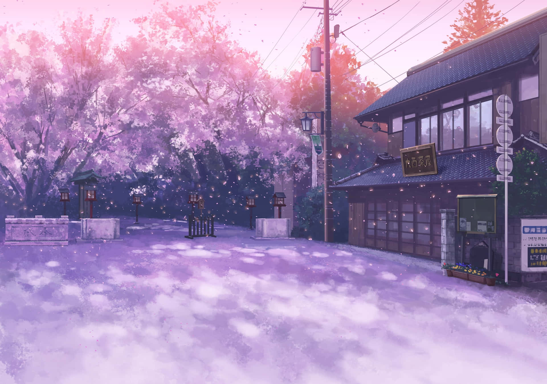 Banner Background