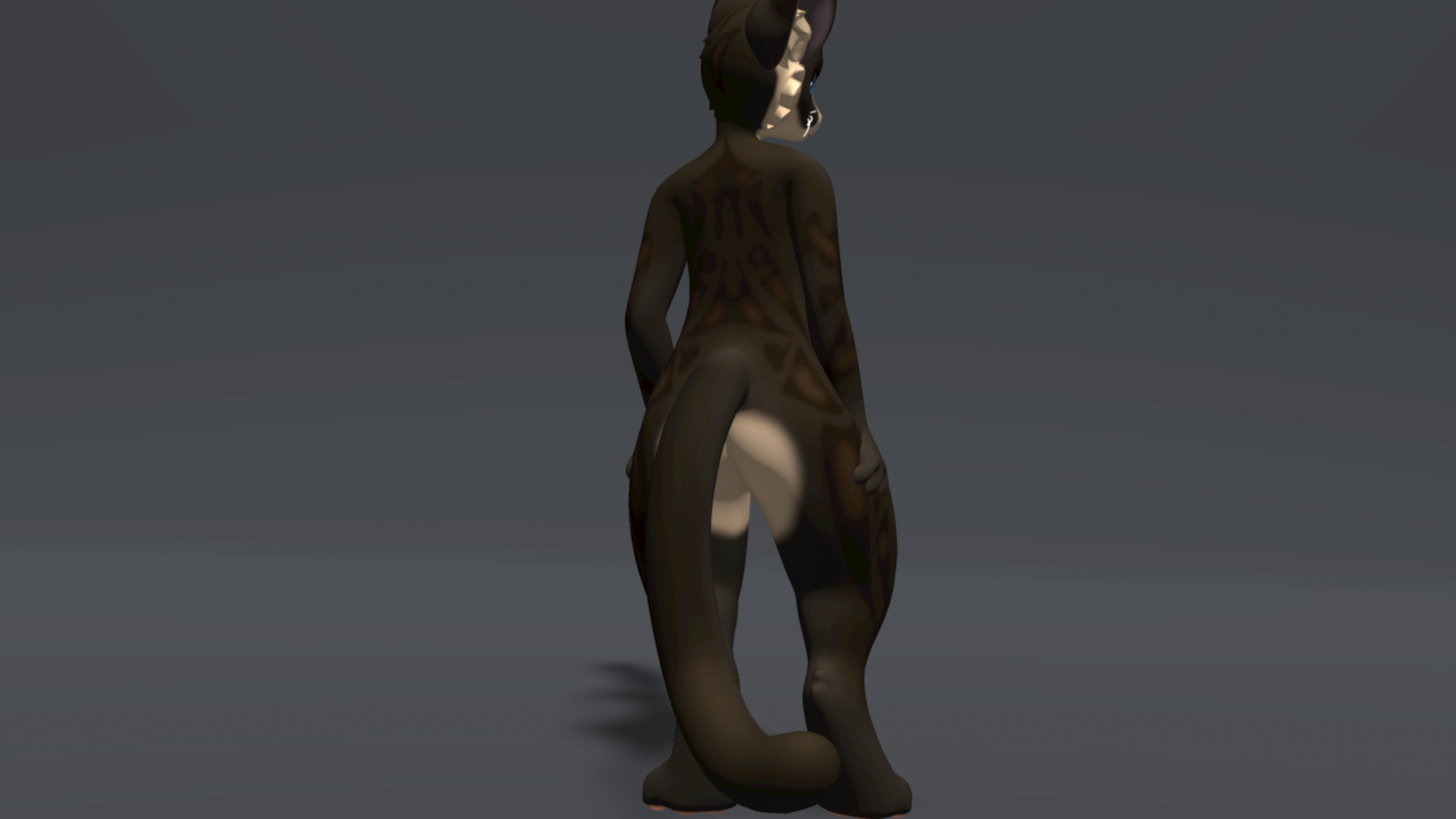 Brown Tabby Mayu Texture