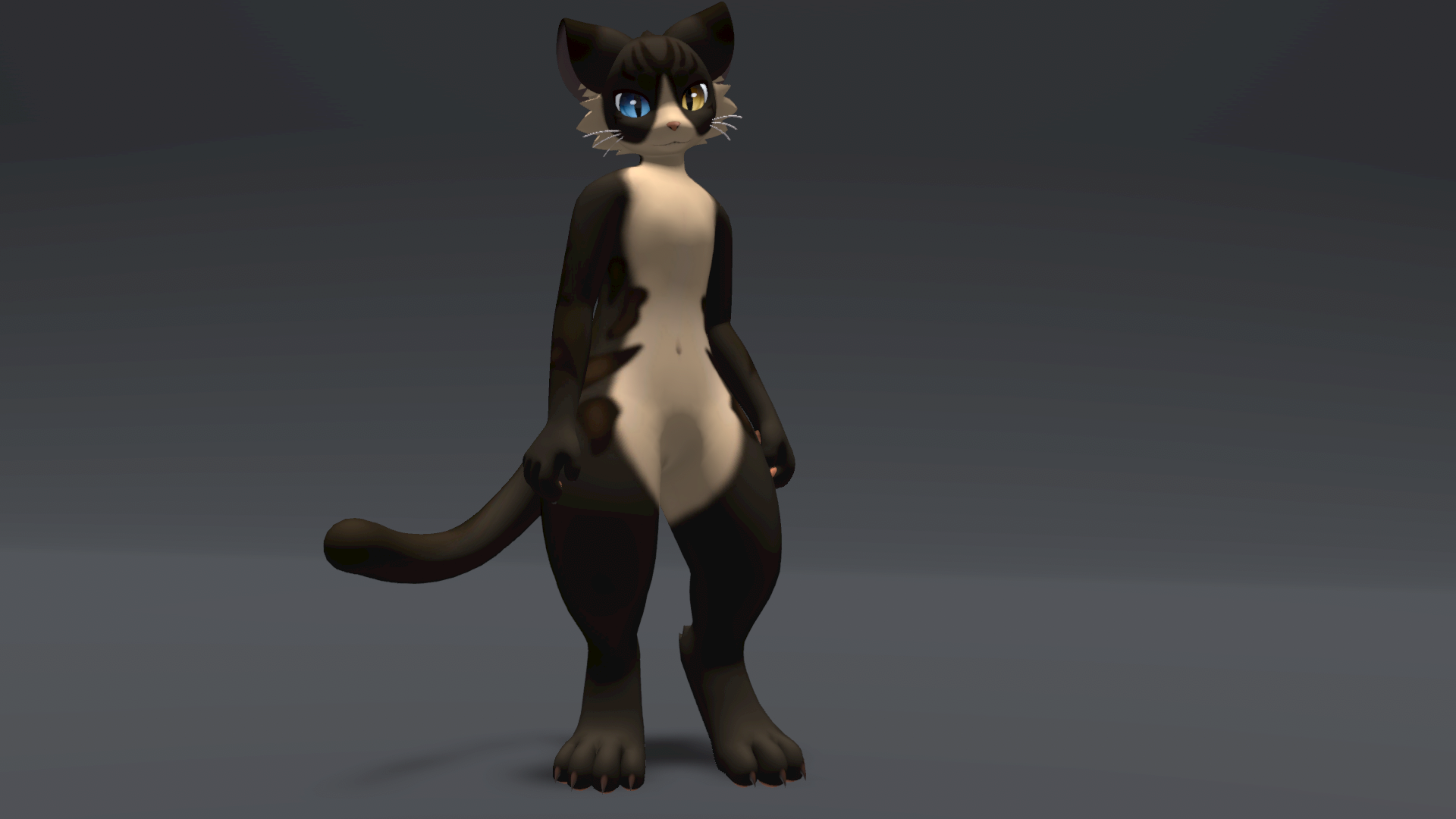 Brown Tabby Mayu Texture