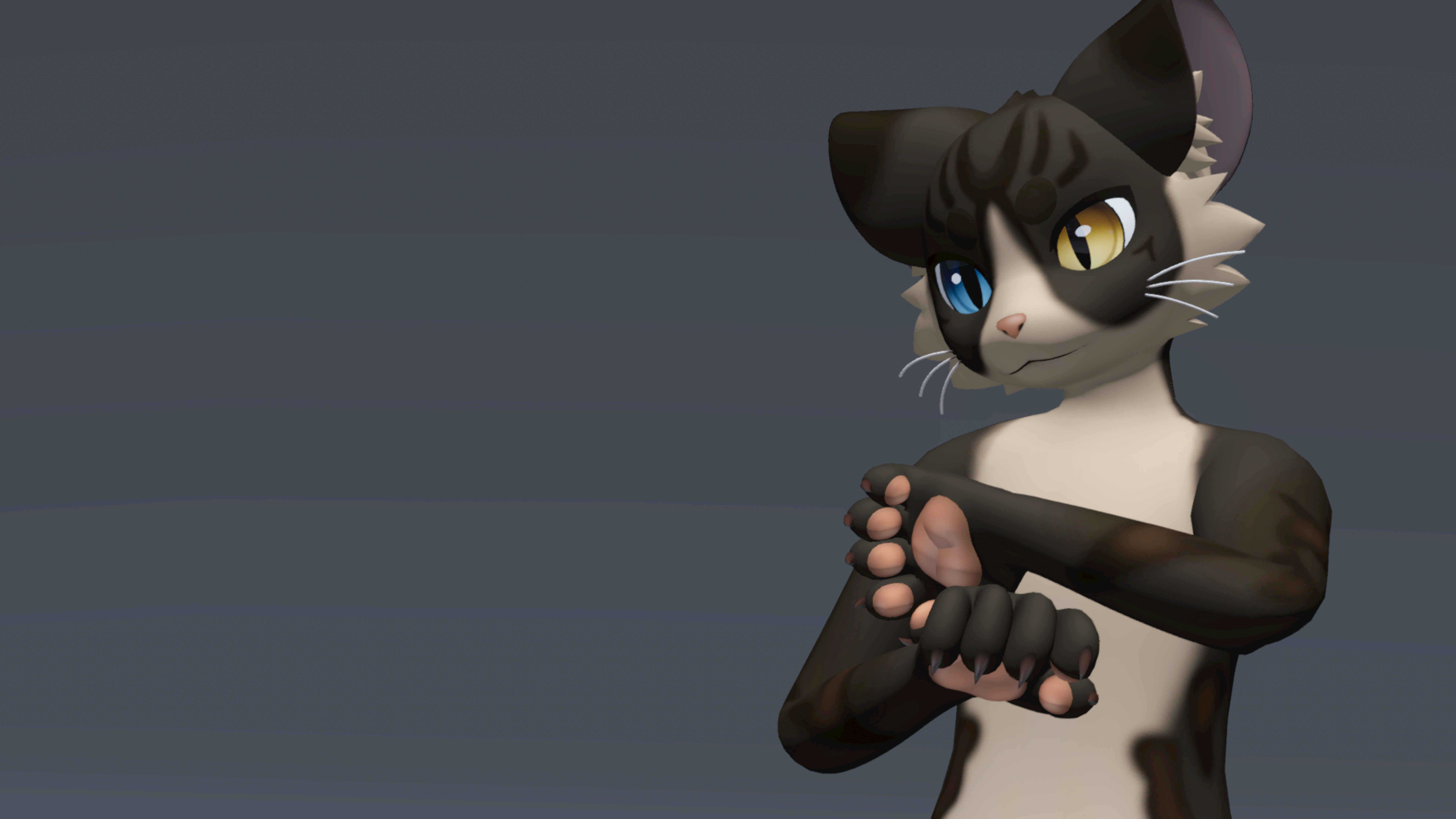 Brown Tabby Mayu Texture