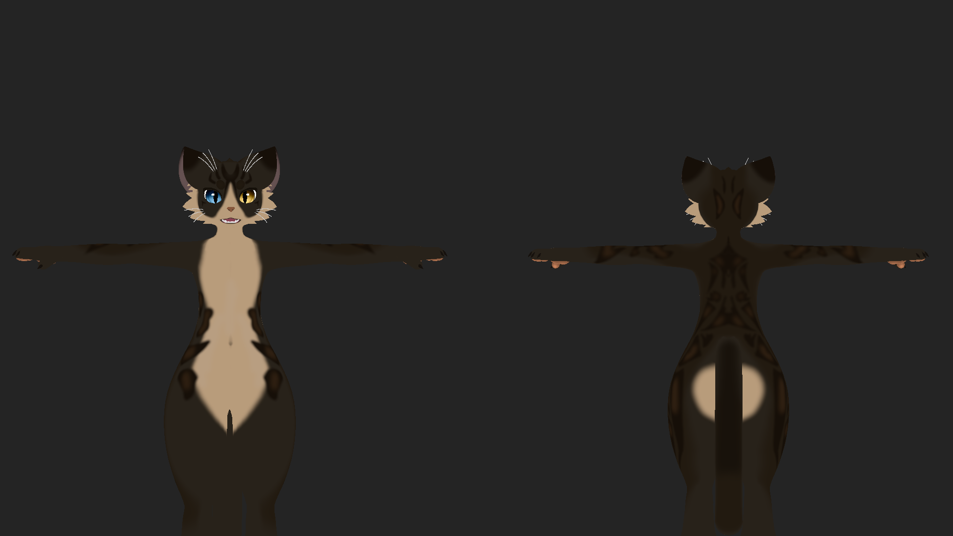 Brown Tabby Mayu Texture
