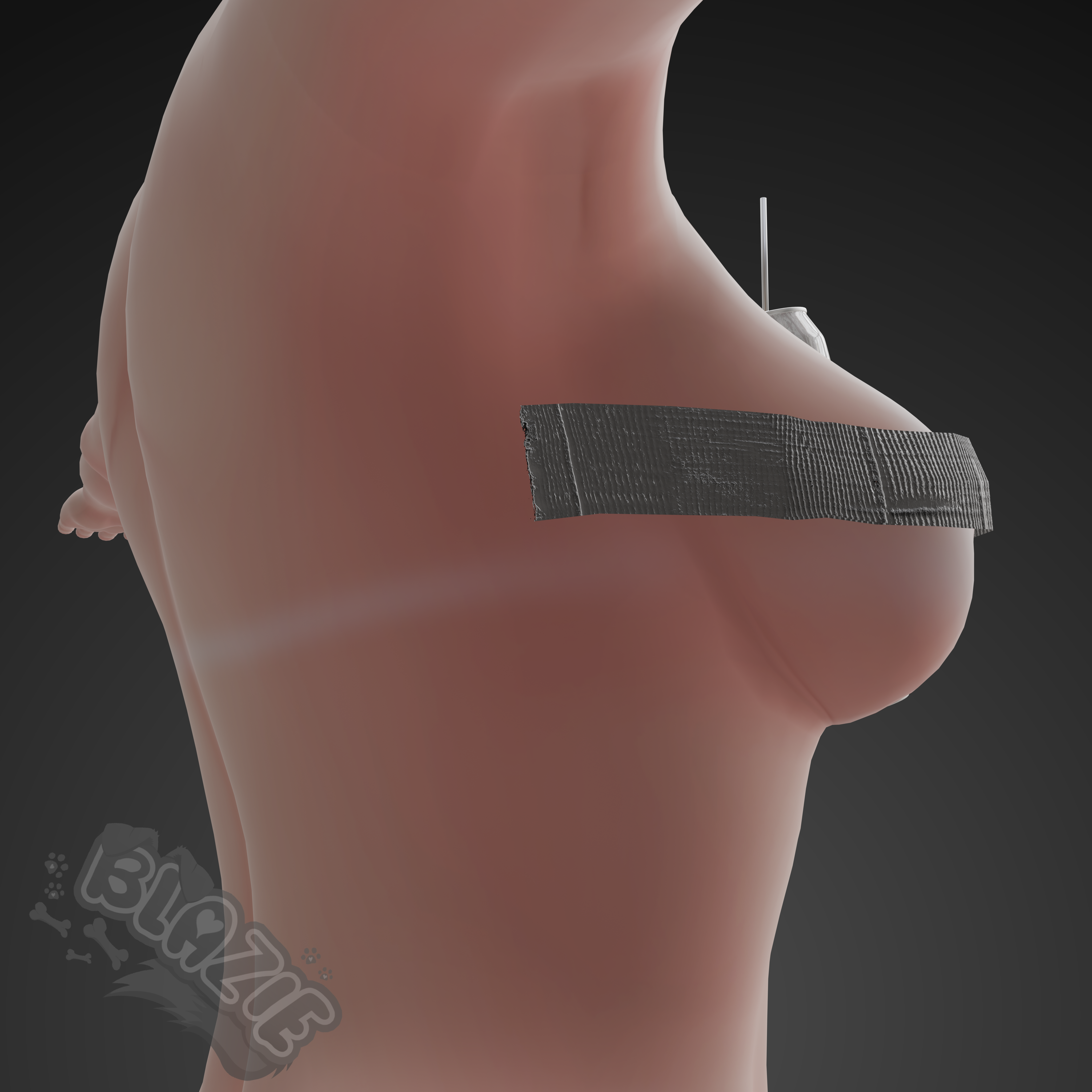 DuctTapeCan