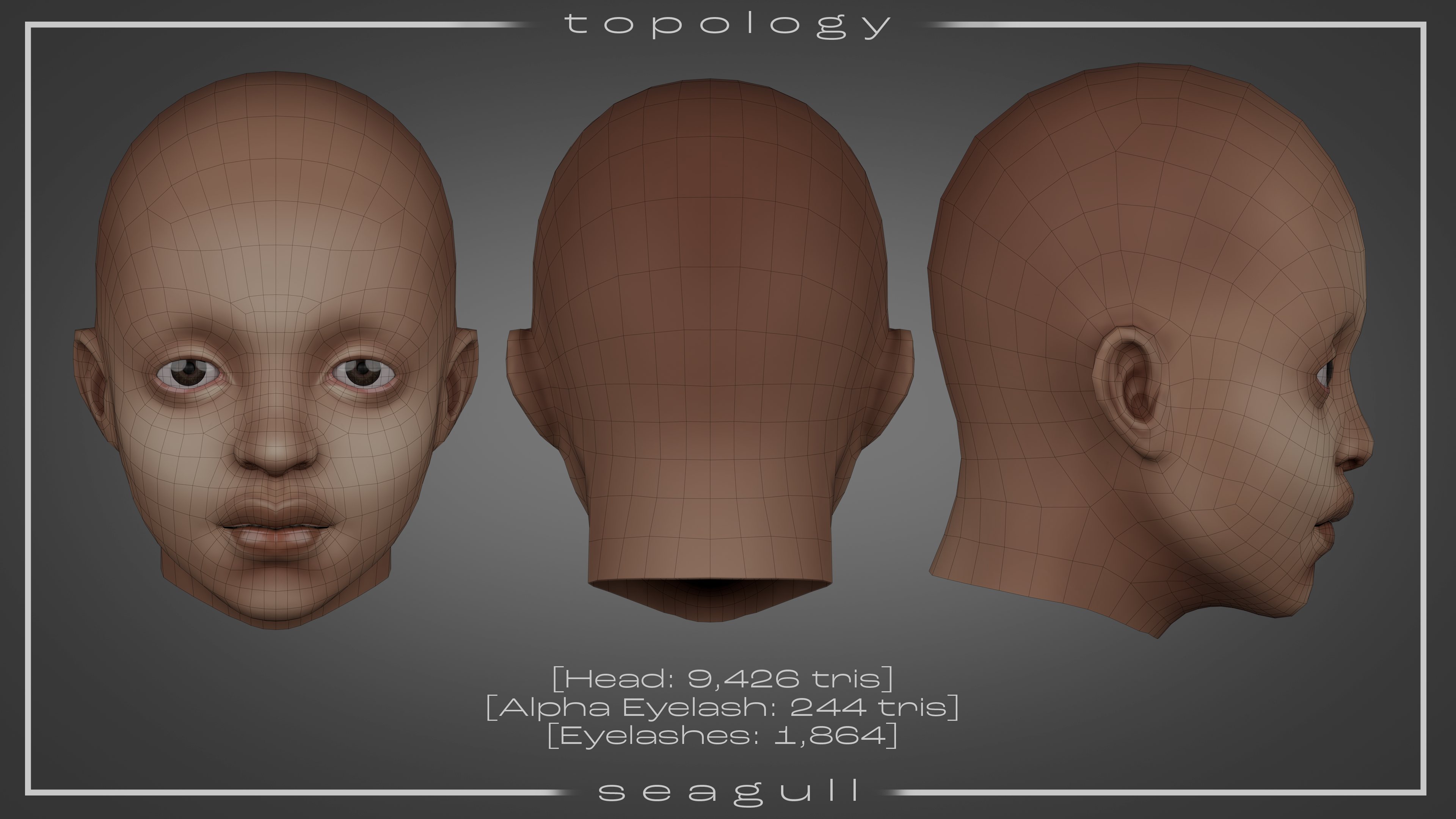 AVA Head Base