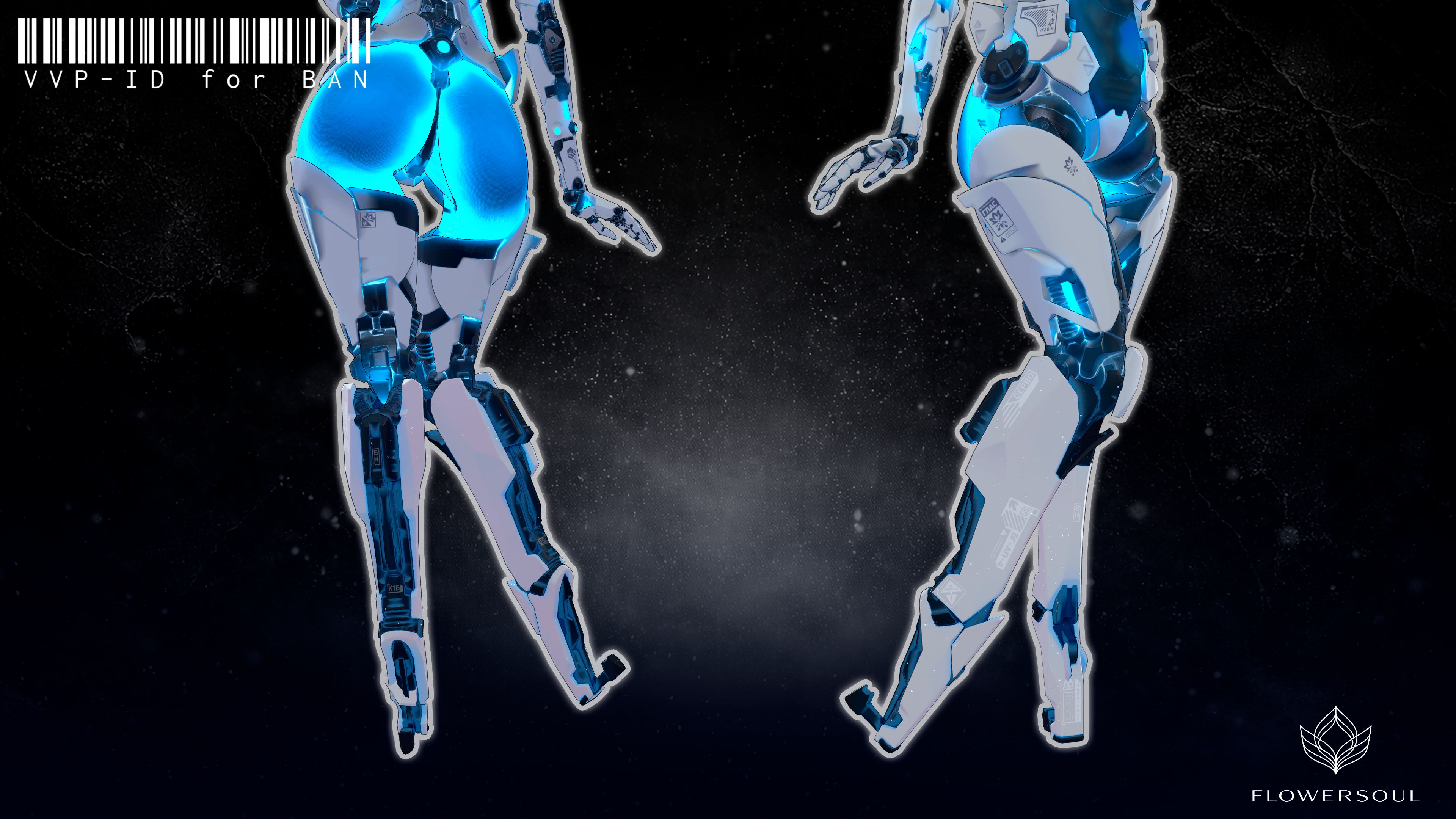 VVP - ID for BAN