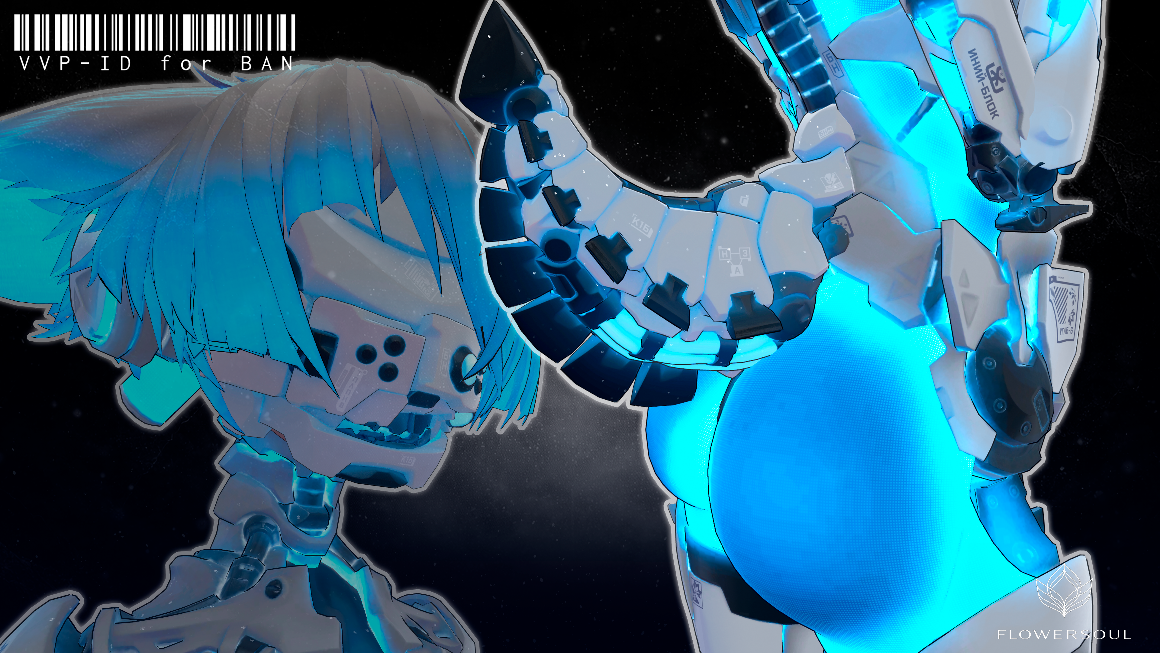 VVP - ID for BAN
