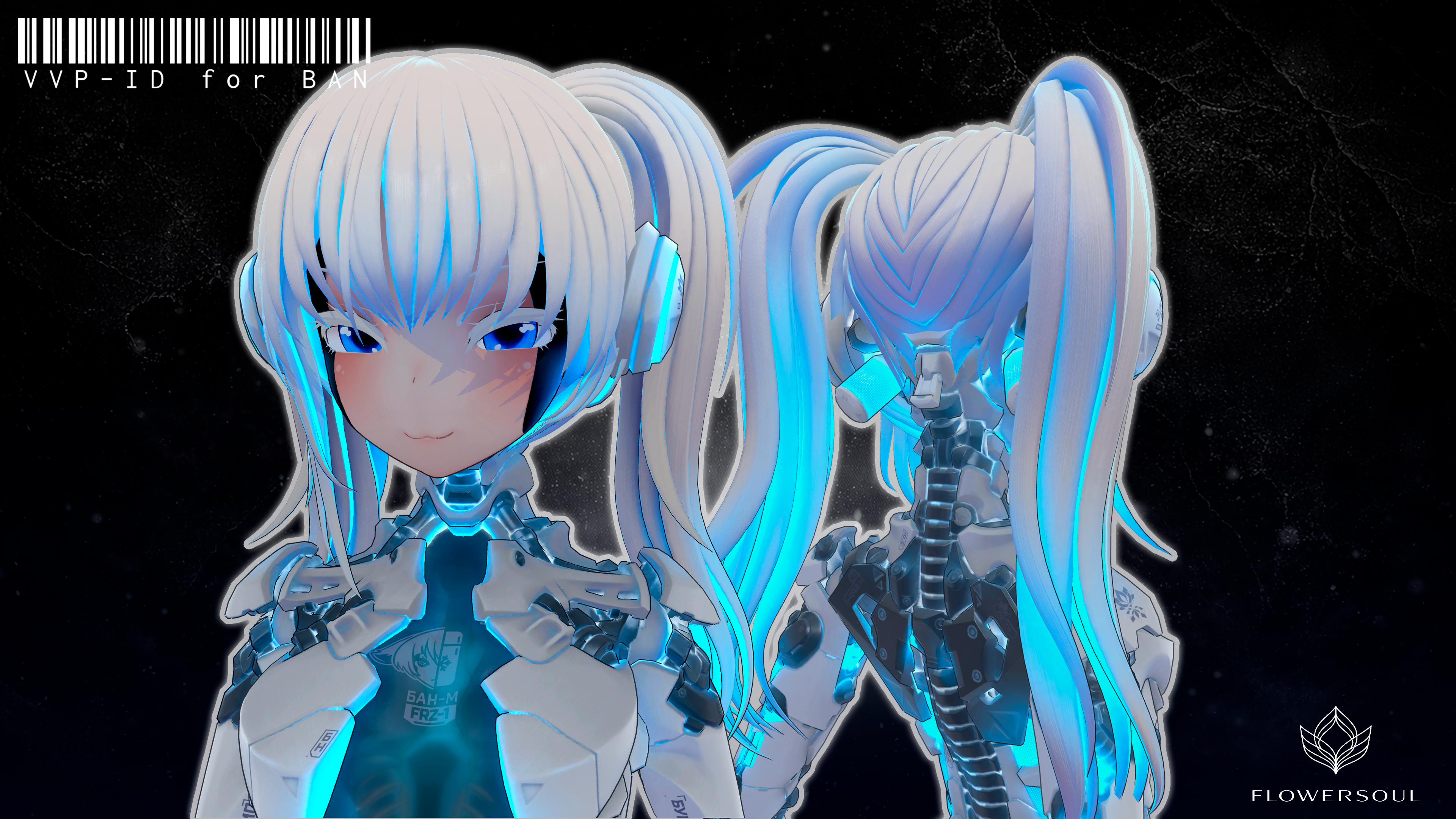 VVP - ID for BAN