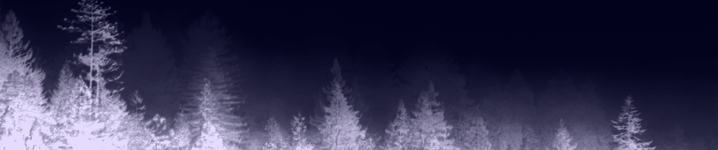 Banner Background