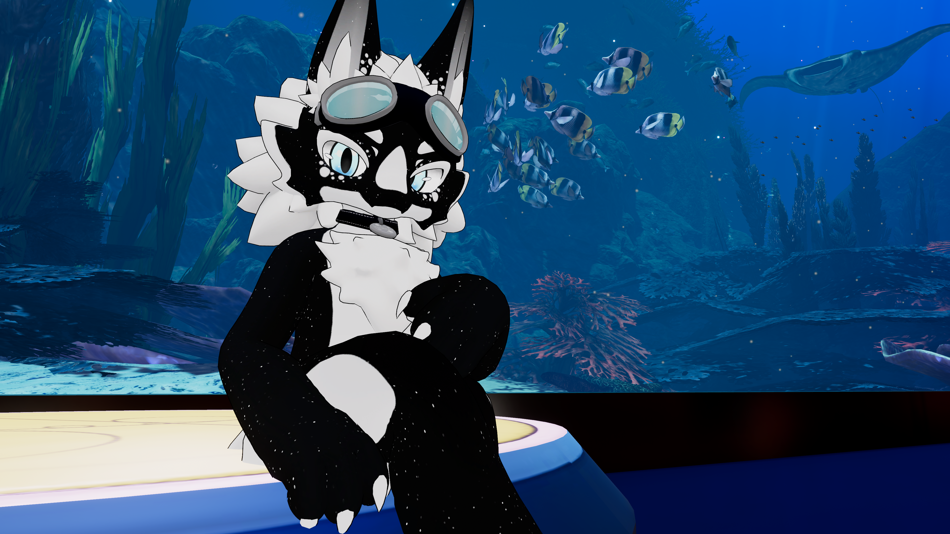 ♡ Orca ♡ Texture Set for the Chibi Novabeast