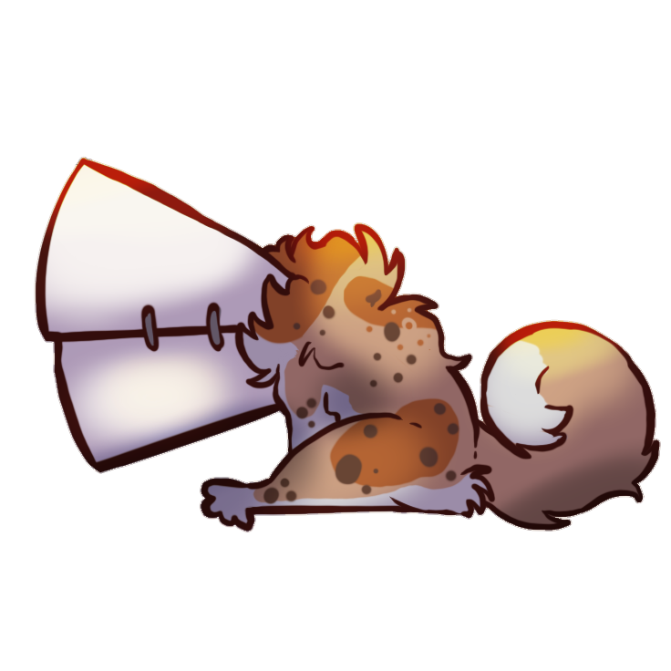 Tip Jar