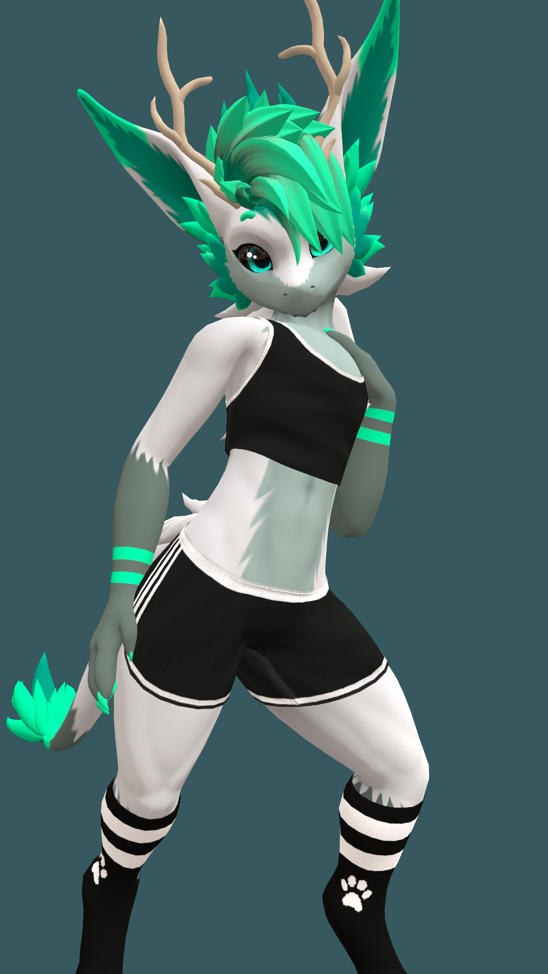 Nardoragon Tank Top and Booty Shorts