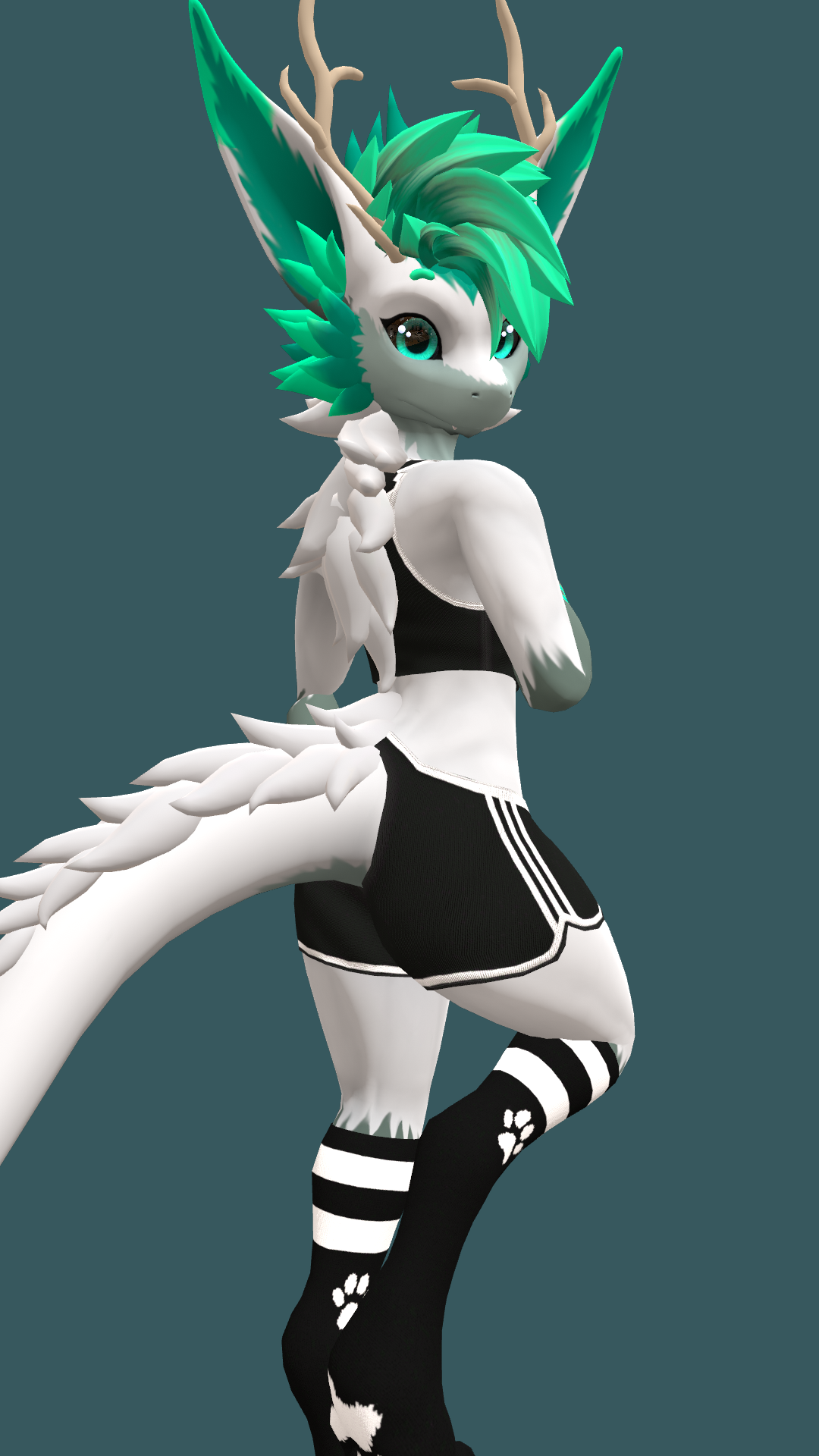 Nardoragon Tank Top and Booty Shorts