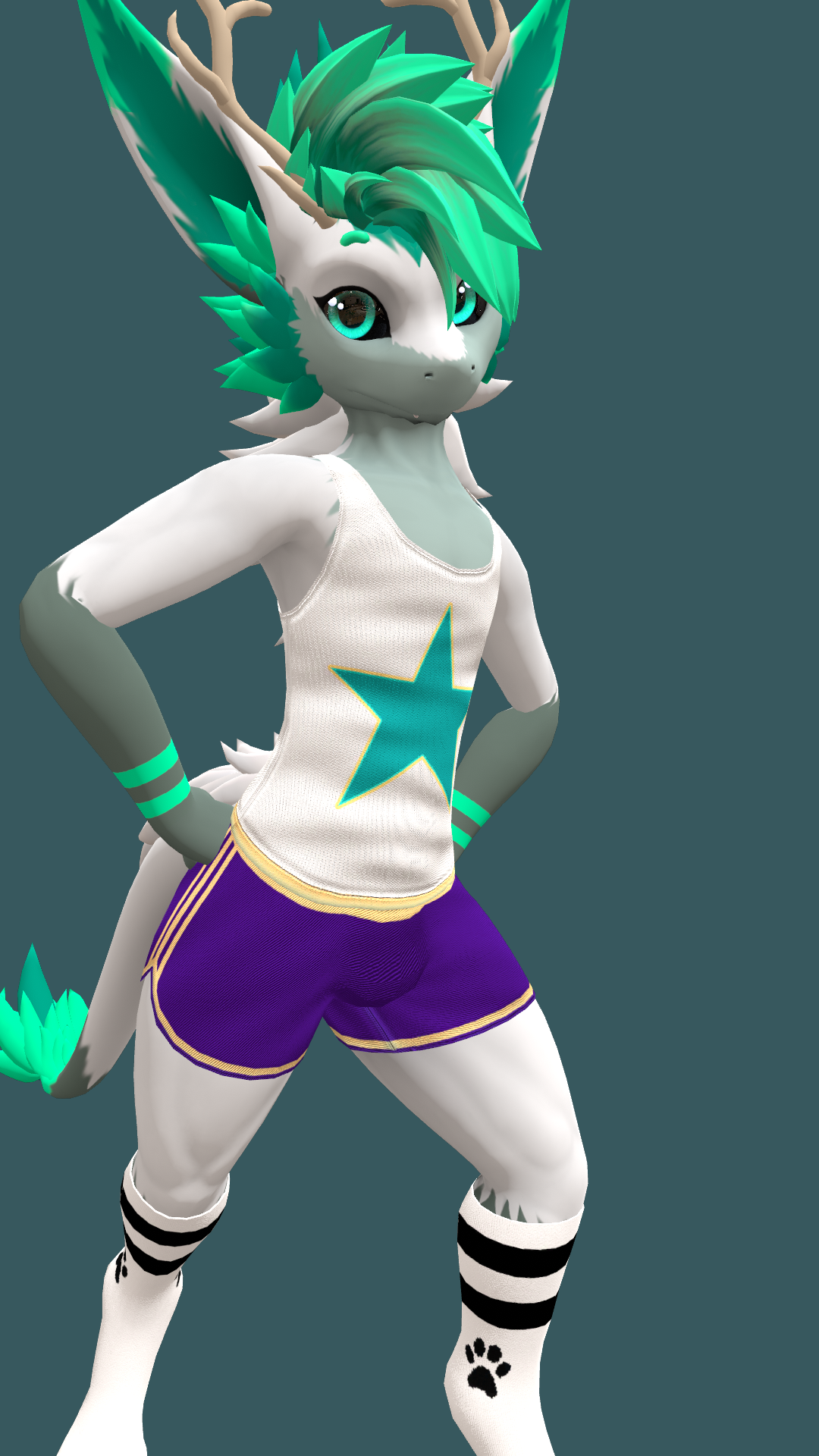Nardoragon Tank Top and Booty Shorts