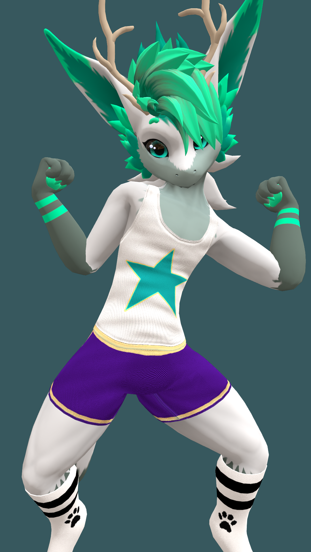 Nardoragon Tank Top and Booty Shorts