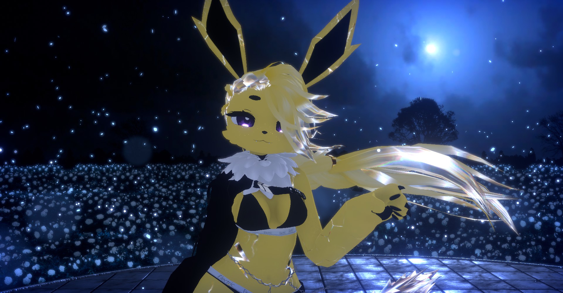 Banner Background