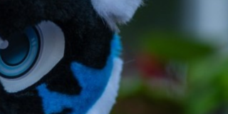 Banner Background