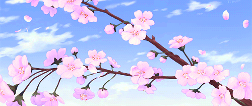 Banner Background