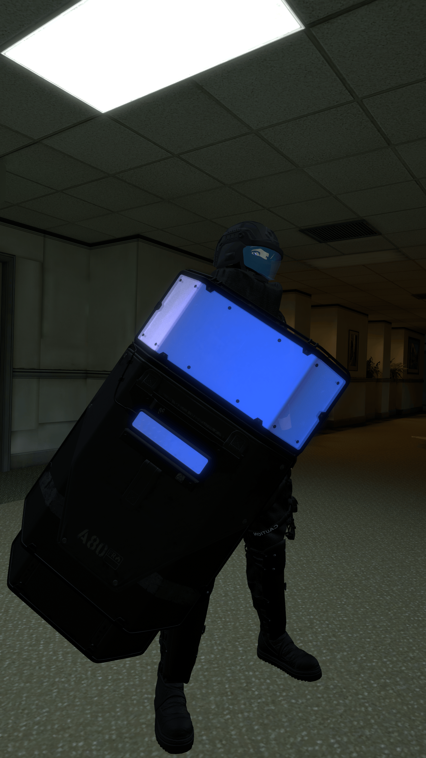 Riot Shield