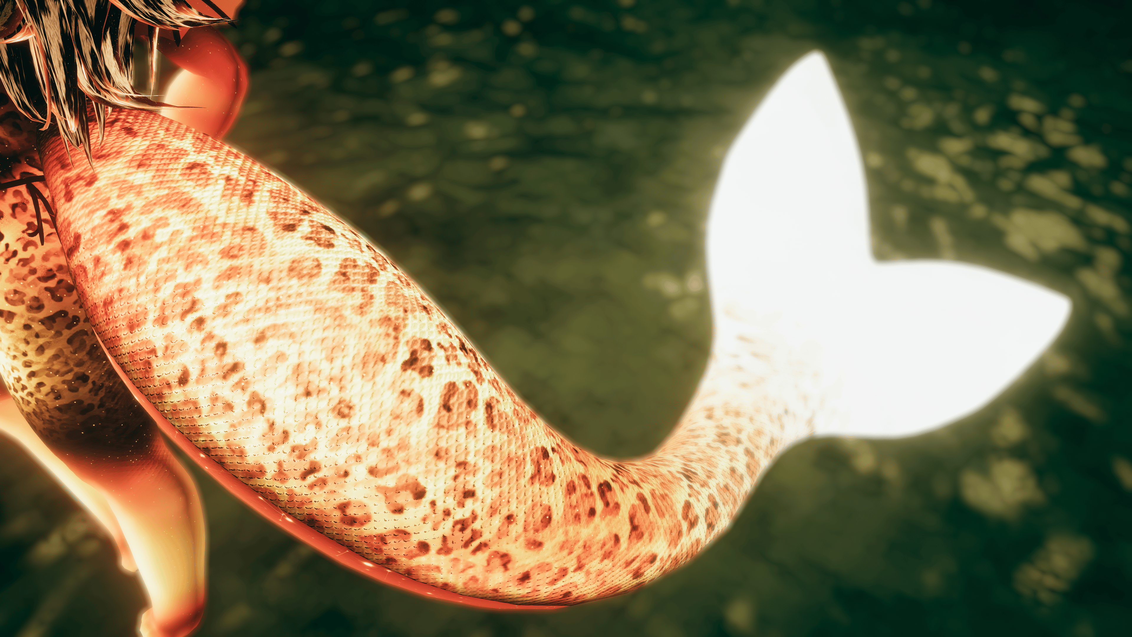 Umiko The Orca (V2 Update) - Cinder