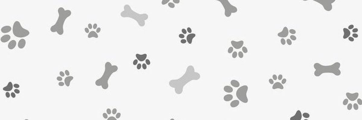 Banner Background