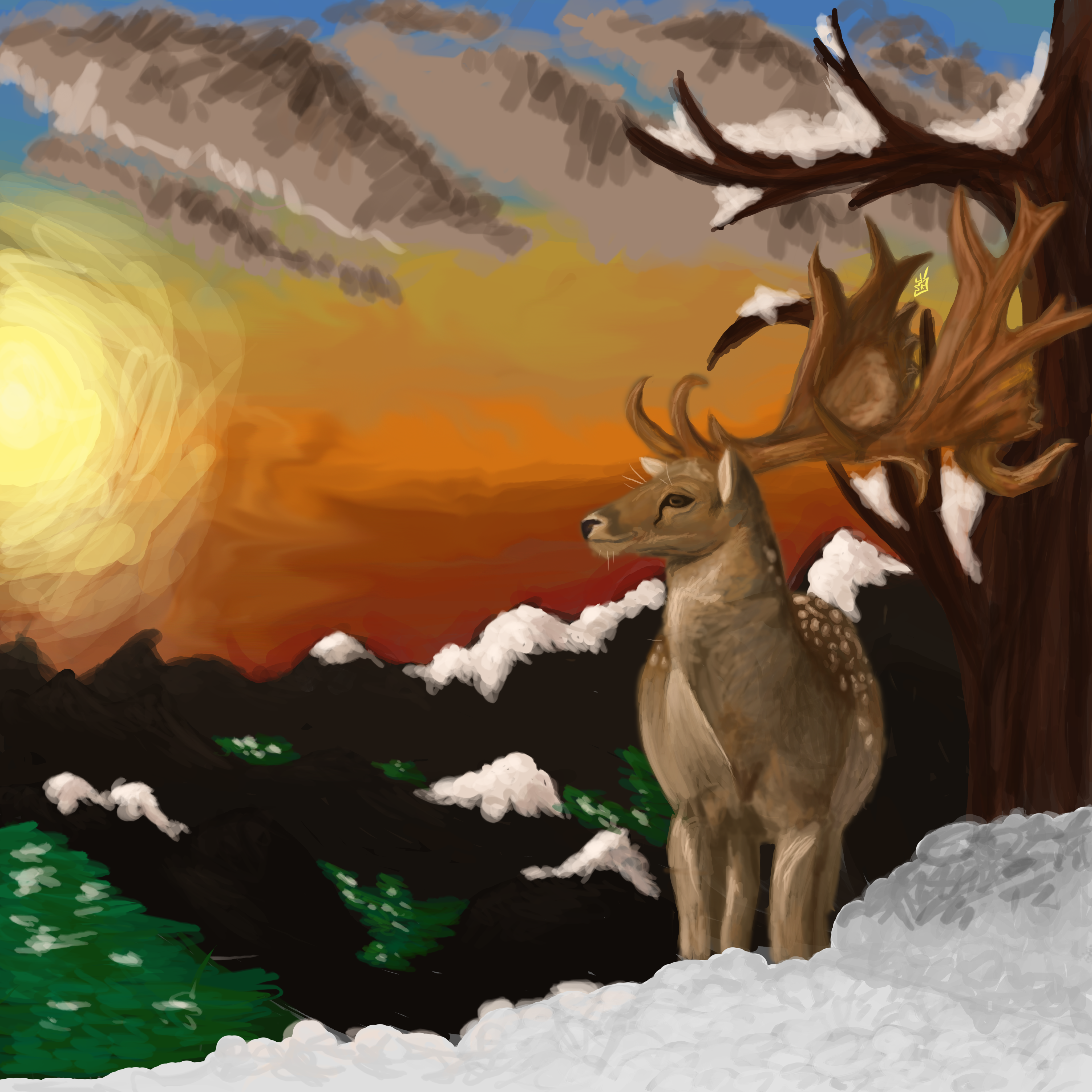 Banner Background