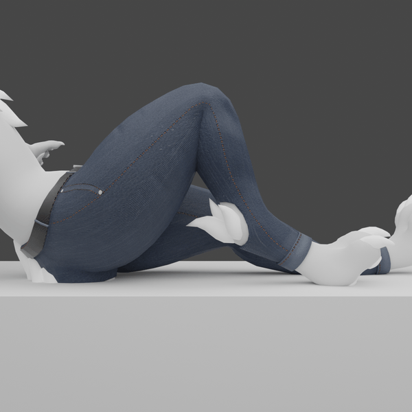 Denim pants for Nardoragon 