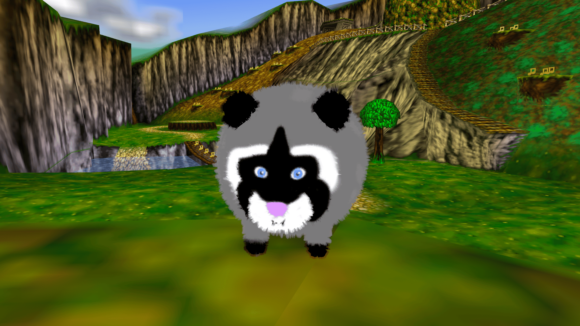 Himothy the Raccoon