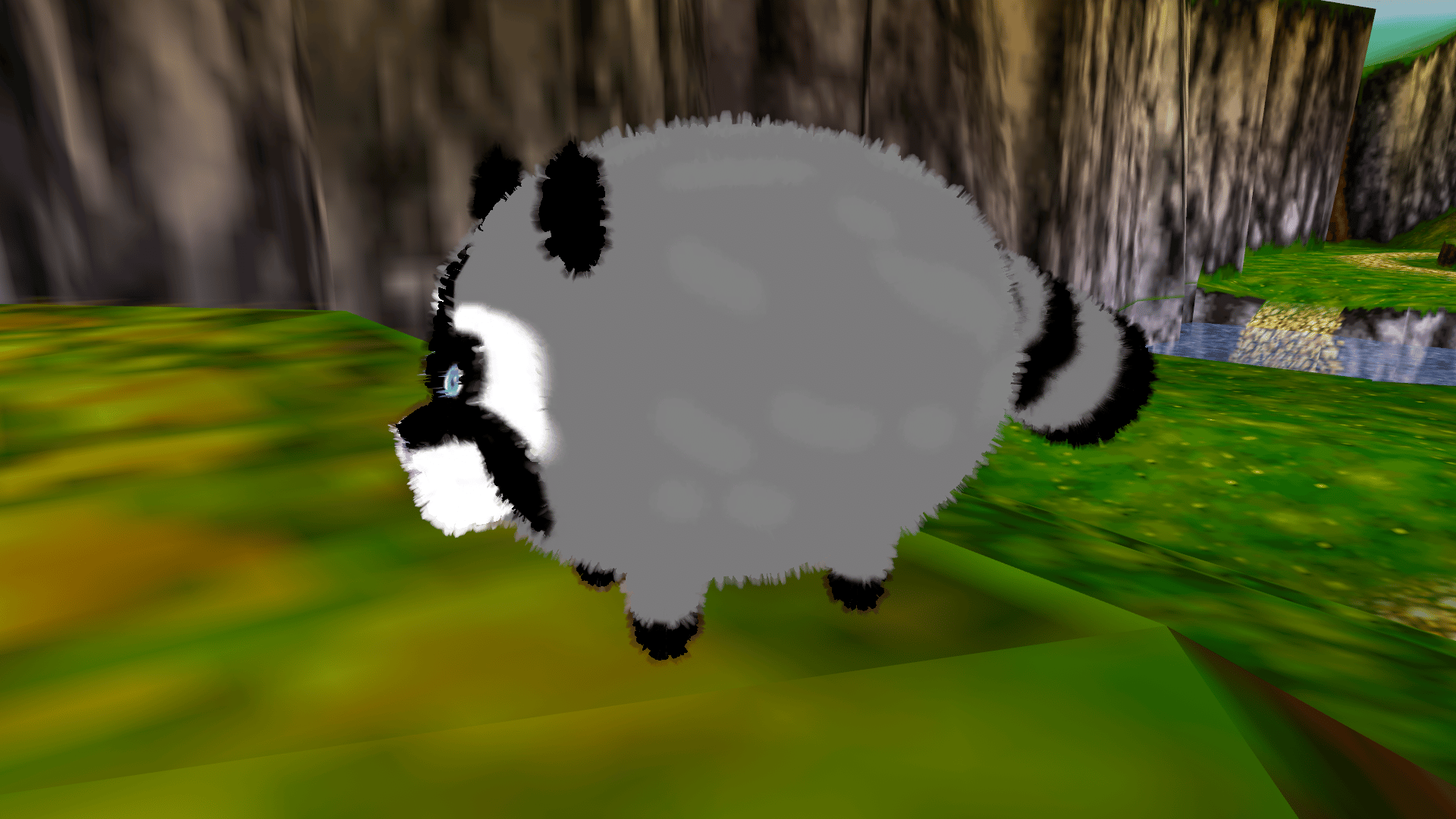 Himothy the Raccoon