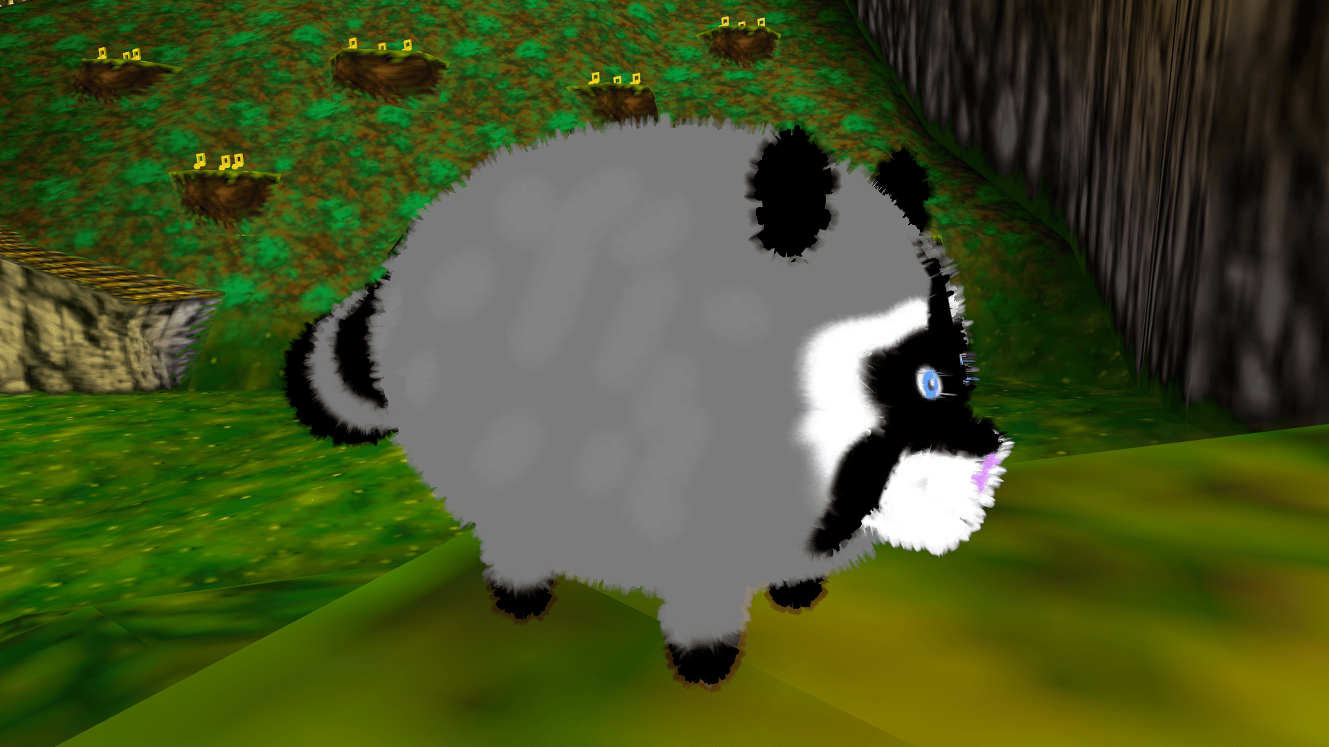Himothy the Raccoon