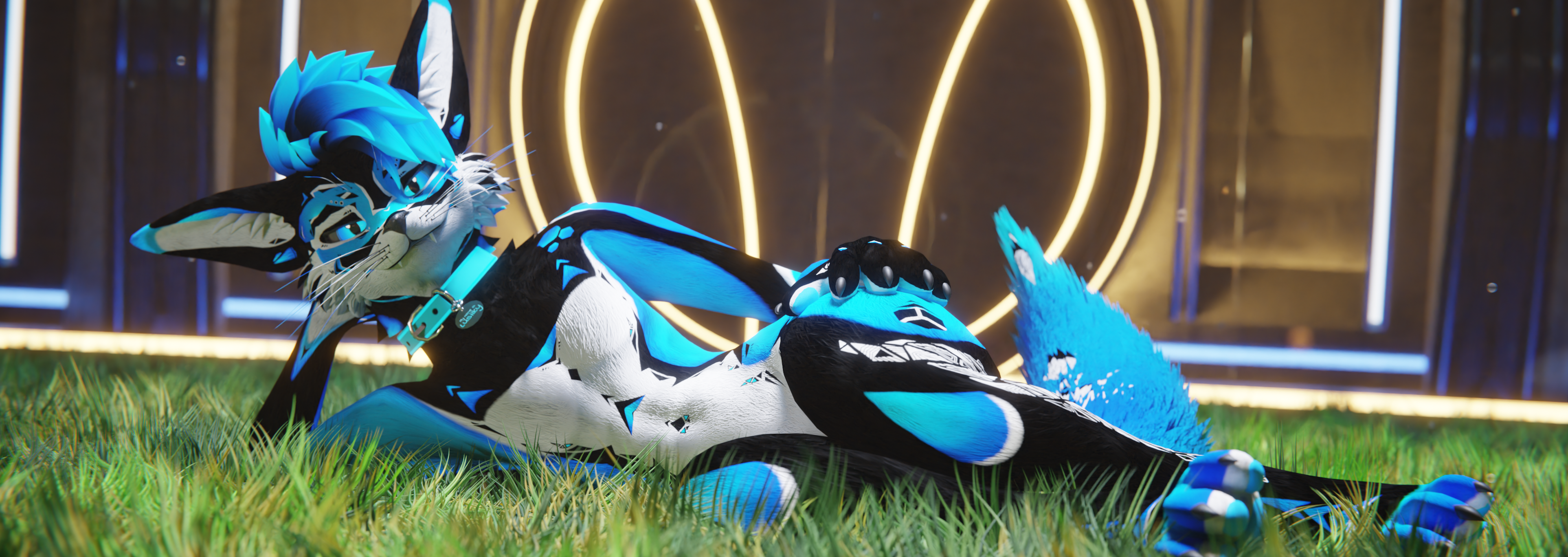 Banner Background