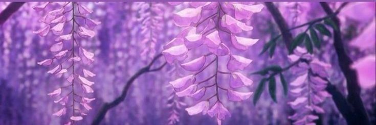 Banner Background
