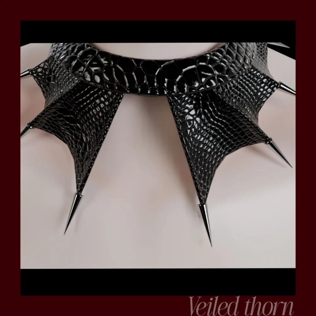 24 item accessory bundle (Goth theme)