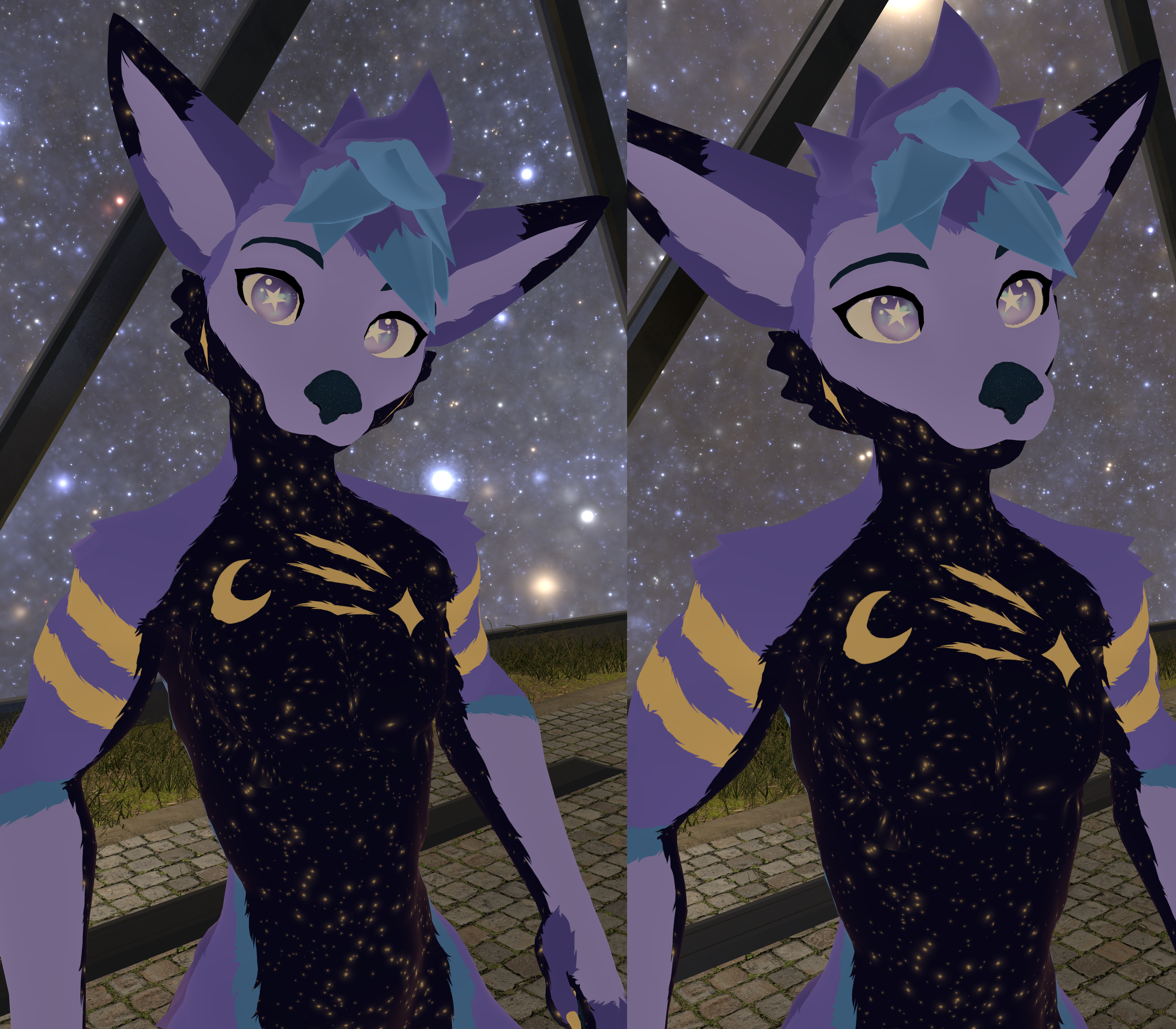 Starry Viwi