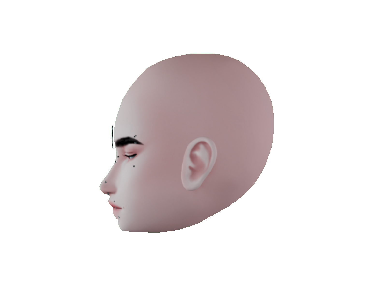 Mink head edit