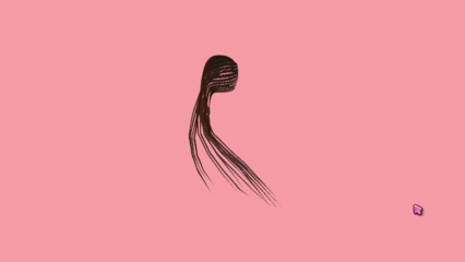 Lemonade Braids